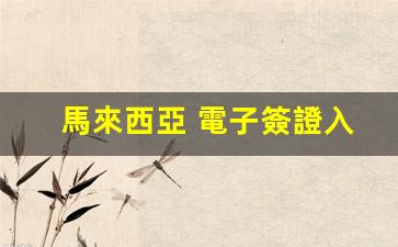 馬來西亞 電子簽證入境(馬來西亞電子入境卡中文版在線填寫)